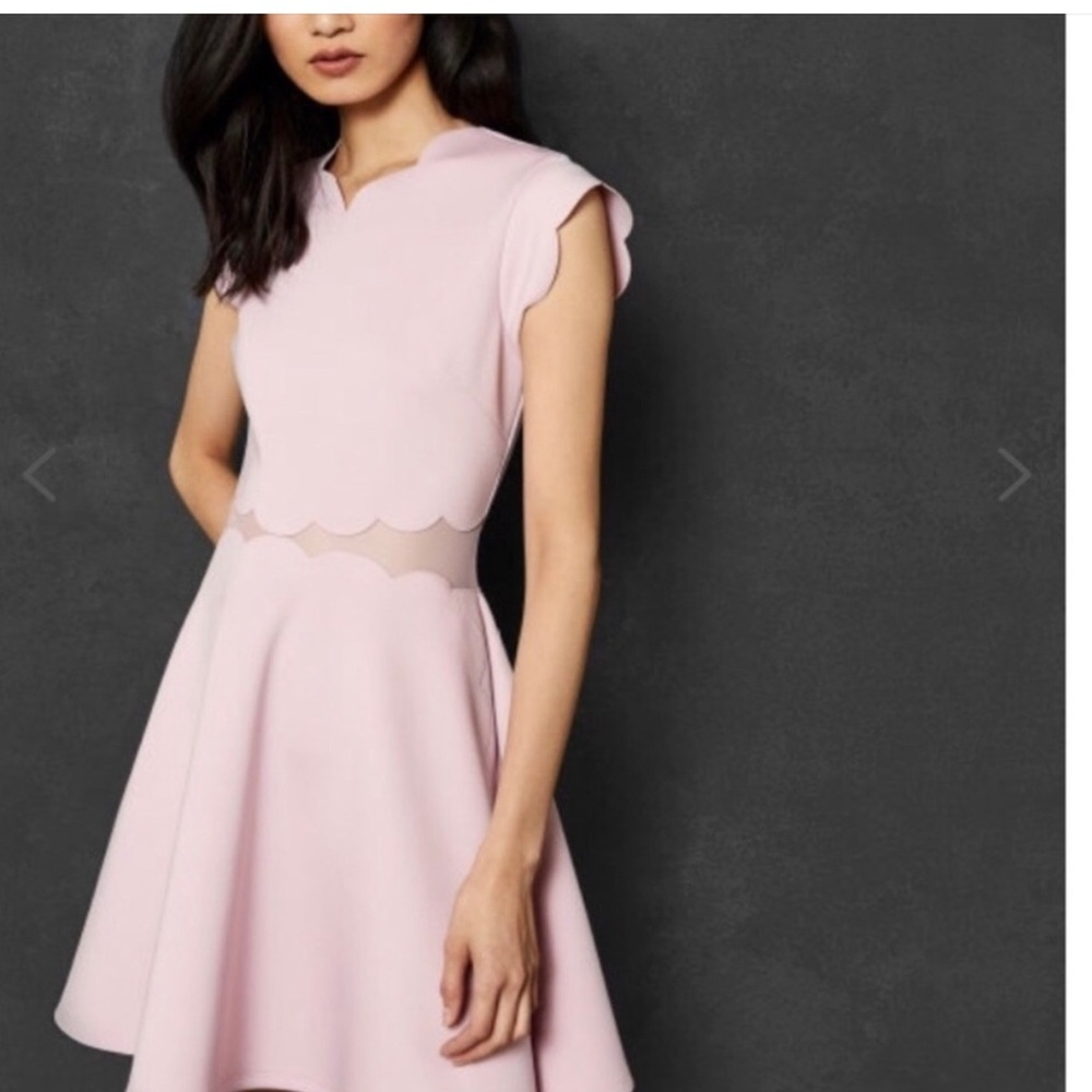 Ted Baker fit and flare pink dress Ted 3 US 6